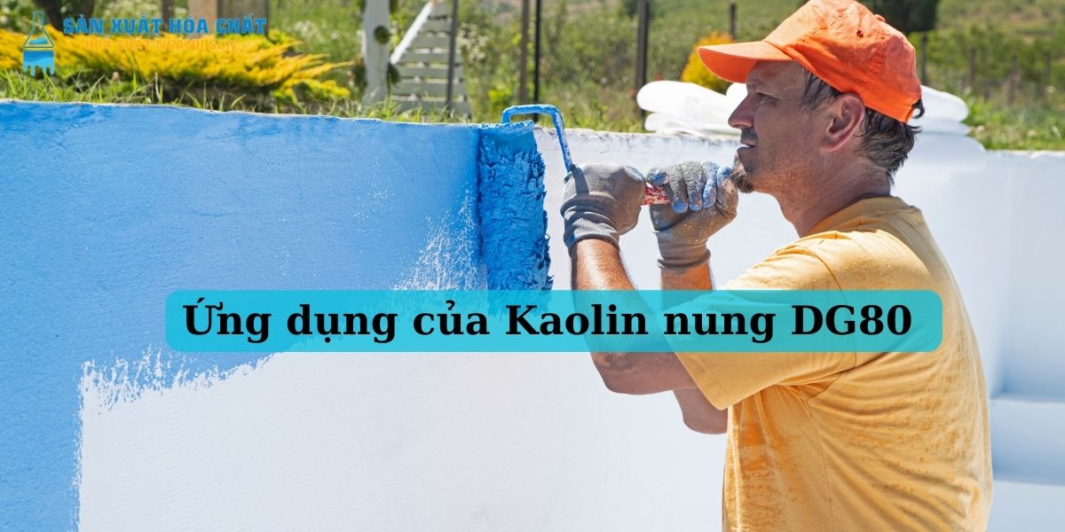 ung-dung-kaolin-nung-dg80-trong-son